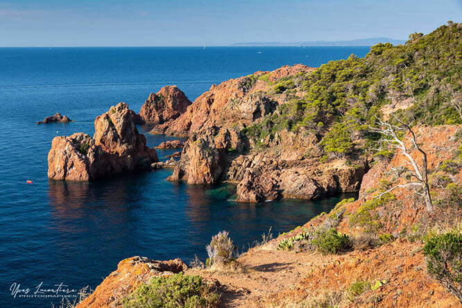 Monday morning in l'Esterel