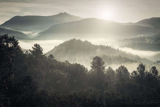 Fog in Esterel