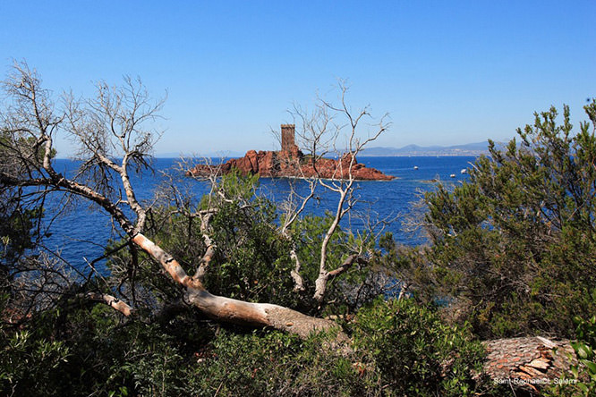 Ile d'Or French Riviera