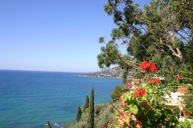 Jardin Bocca Negra Menton French Riviera