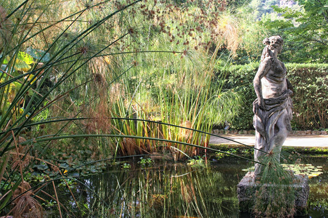 Jardin Serre de la Madone Menton Menton French Riviera
