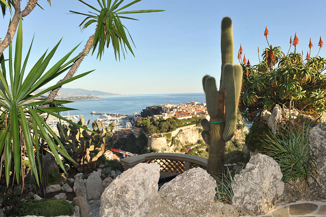 Exotic Garden of Monaco