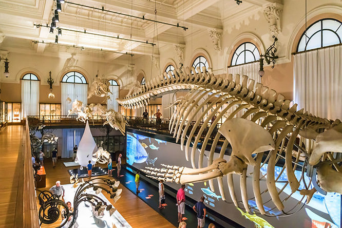Monaco Oceanographic museum