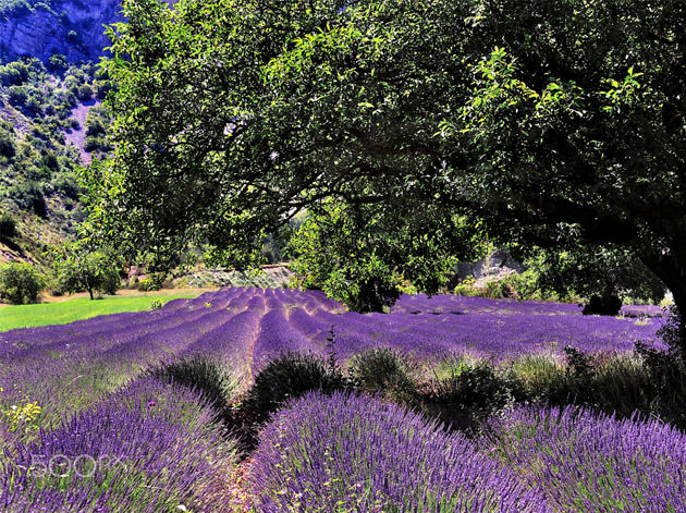 Montbrun-les-Bains