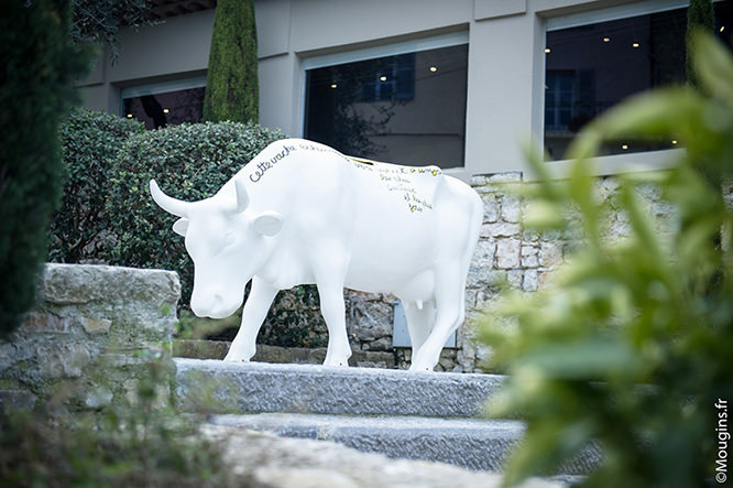 Rue des Muriers Mougins French Riviera