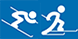 Ski Alpin