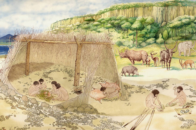 Musée Archéologique - Site de Terra Amata
