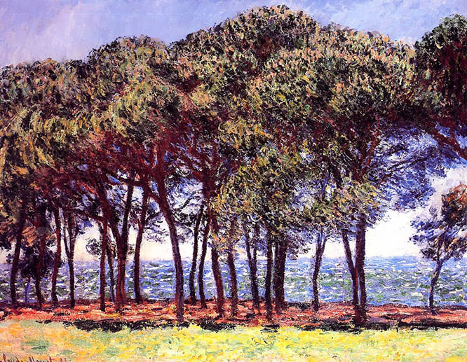 Claude Monet 1888 Pine Trees French Riviera Paintings