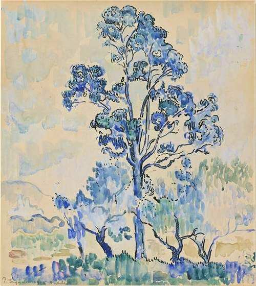 Eucalyptus à Antibes French Riviera Paintings