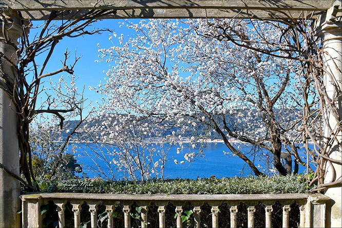 Spring in St-Jean-Cap-Ferrat