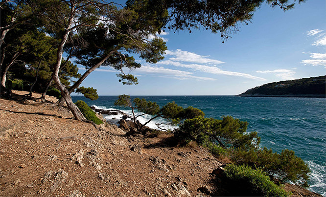 Coastal path in St-Jean-Cap-Ferrat