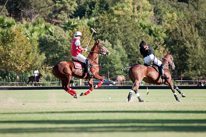 Polo club of Saint Tropez