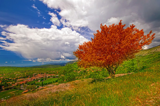 Saint-Vallier-de-Thiey French Riviera