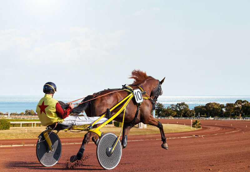 Hippodrome de la Côte d’Azur