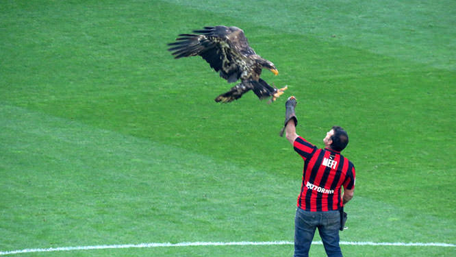 L'Aigle Niçois