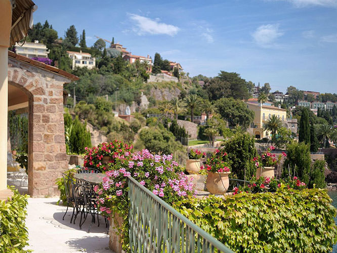 Geraniums in Théoule sur Mer French Riviera