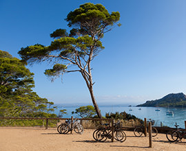 Porquerolles Iles d'Hyères