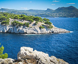 Cassis