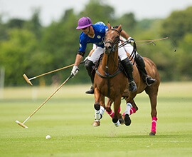 French Riviera Polo CLubs