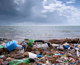 Water pollution