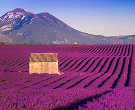 Alpes de Haute-Provence