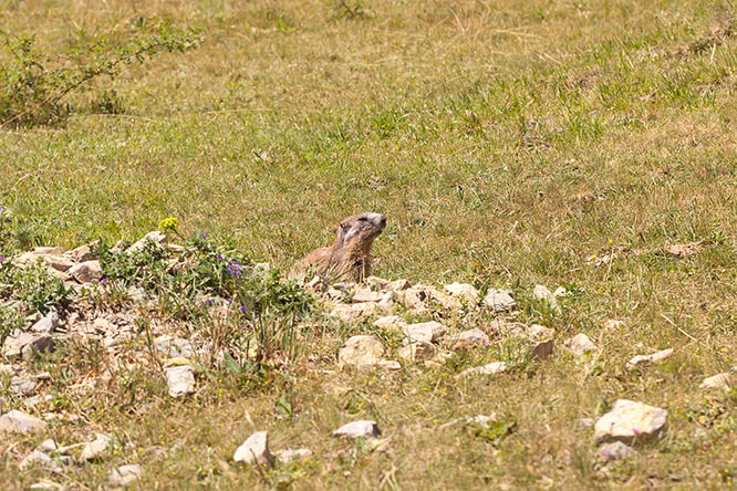 Valberg French Riviera