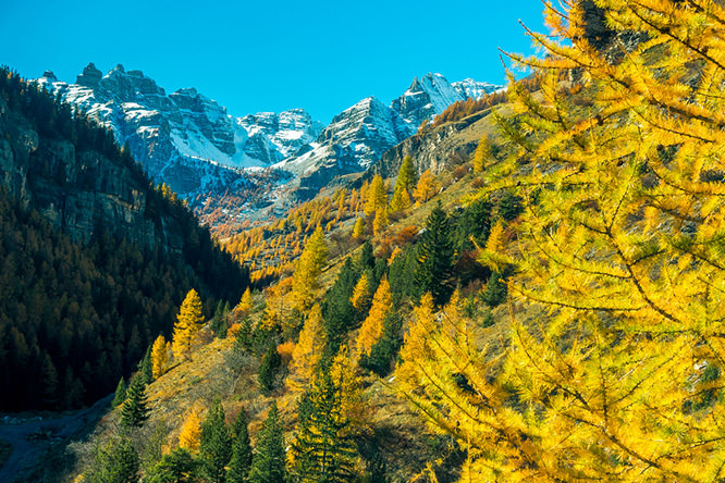 St Dalmas le Selvage Alpes Maritimes
