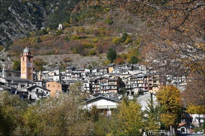 Tende