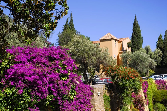 Bormes les Mimosas Var