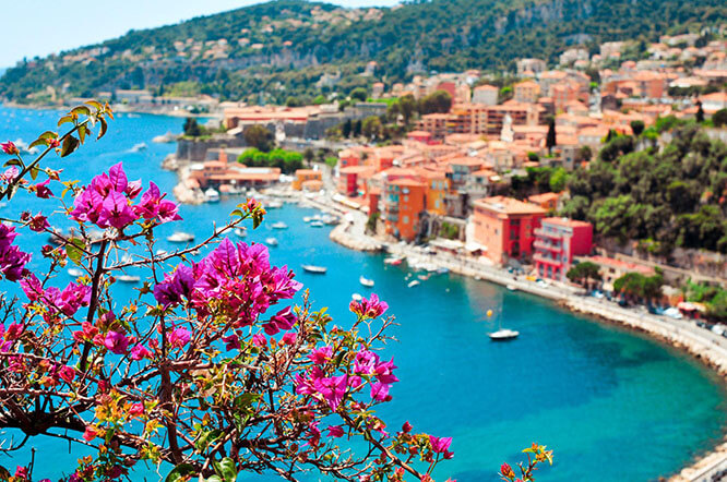 Bougainvillea in Villefranche-sur-Mer