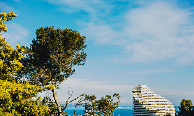 Marina Baie des Anges Villeneuve-Loubet