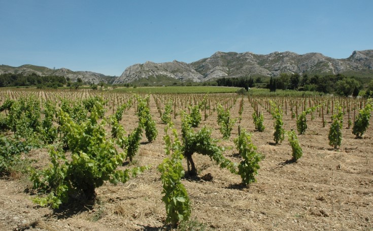 Massif des Alpilles